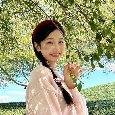 最后的武士封面