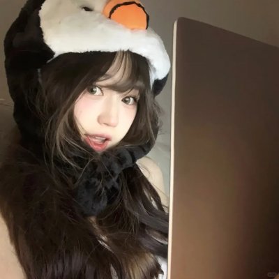 野狗们封面